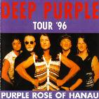 Purple Rose Of Hanau